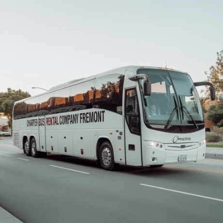 56 passenger motorcoach