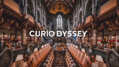 curiodyssey